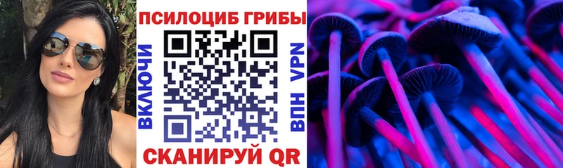 Галлюциногенные грибы мухоморы  даркнет сайт  Нерюнгри 